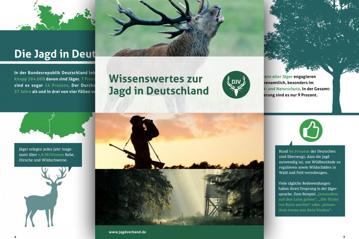 Jagd Und Jäger Im Überblick Deutscher Jagdverband